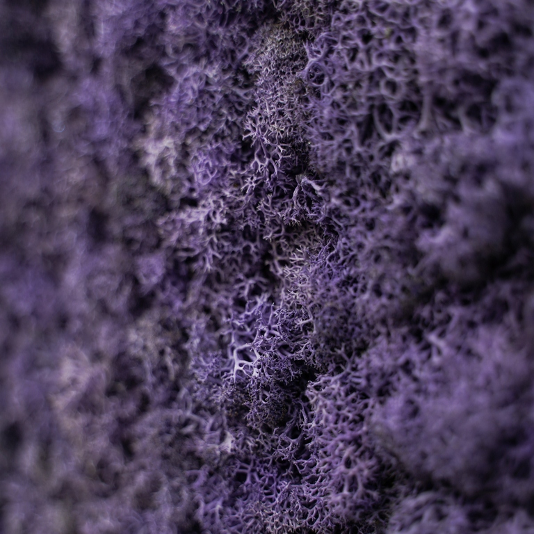 Миниатюра Панно с фиолетовым мхом 3