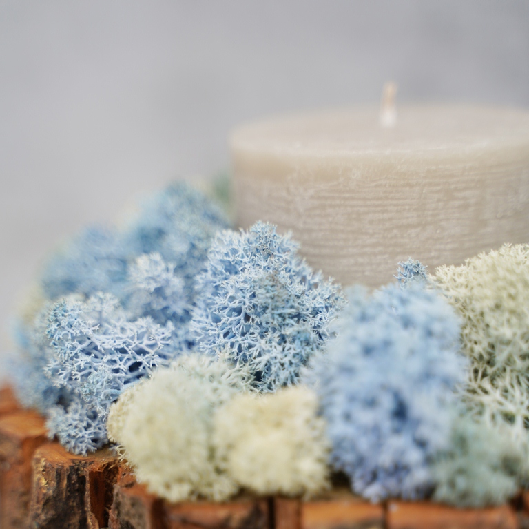 Миниатюра Декоративная свеча с голубым мхом 4