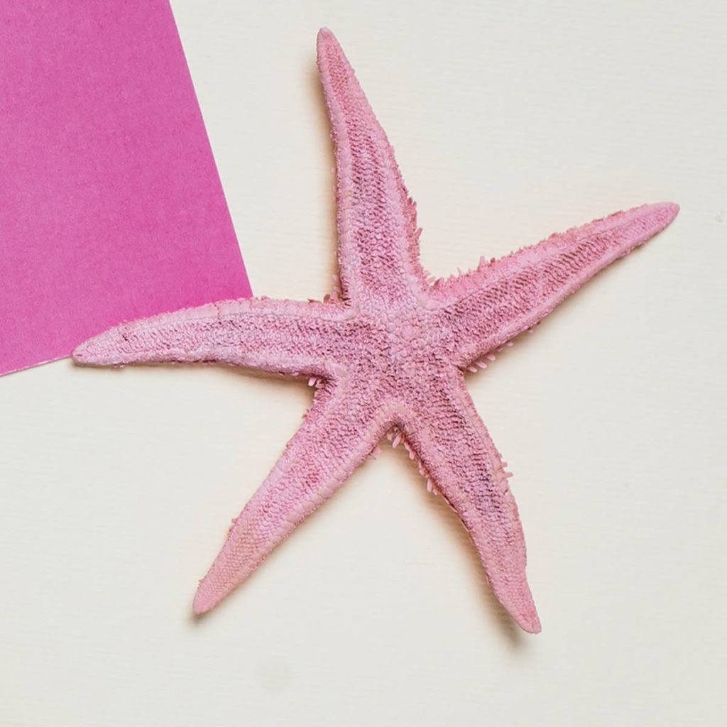 Миниатюра Магнитик с песочной звездой розового цвета