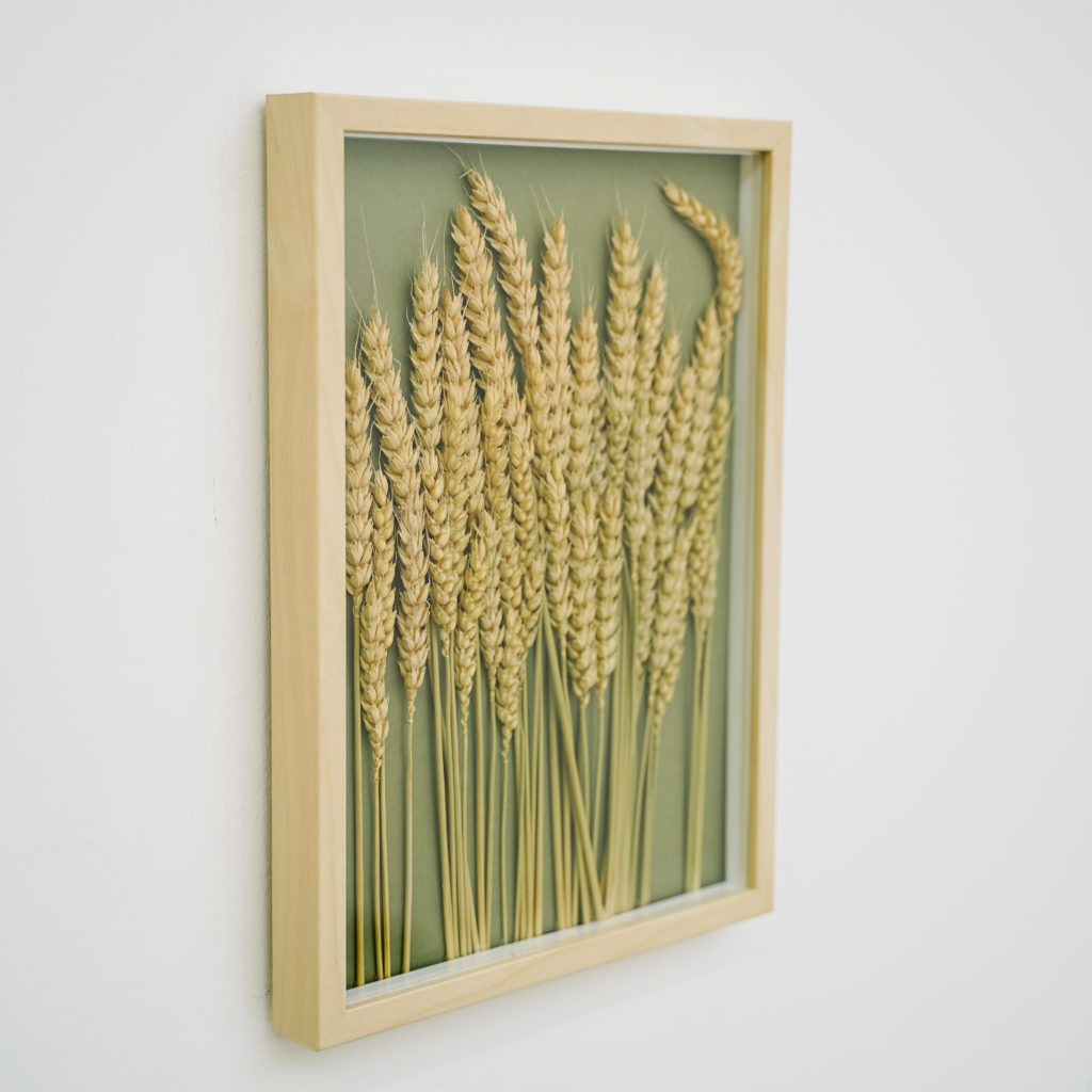 Миниатюра Картина с пшеницей